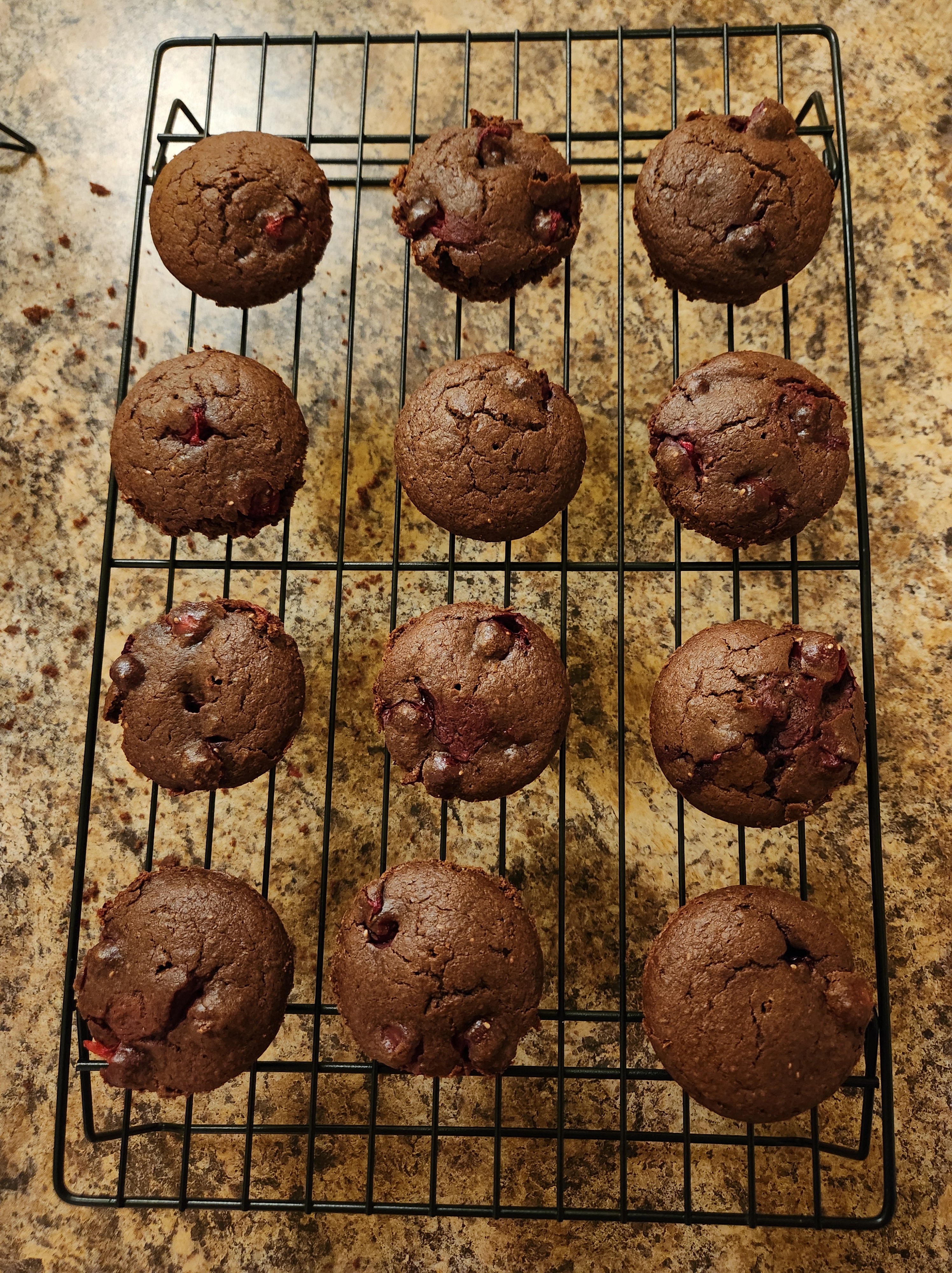 Gluten-Free Chocolate Cranberry Chia Muffins