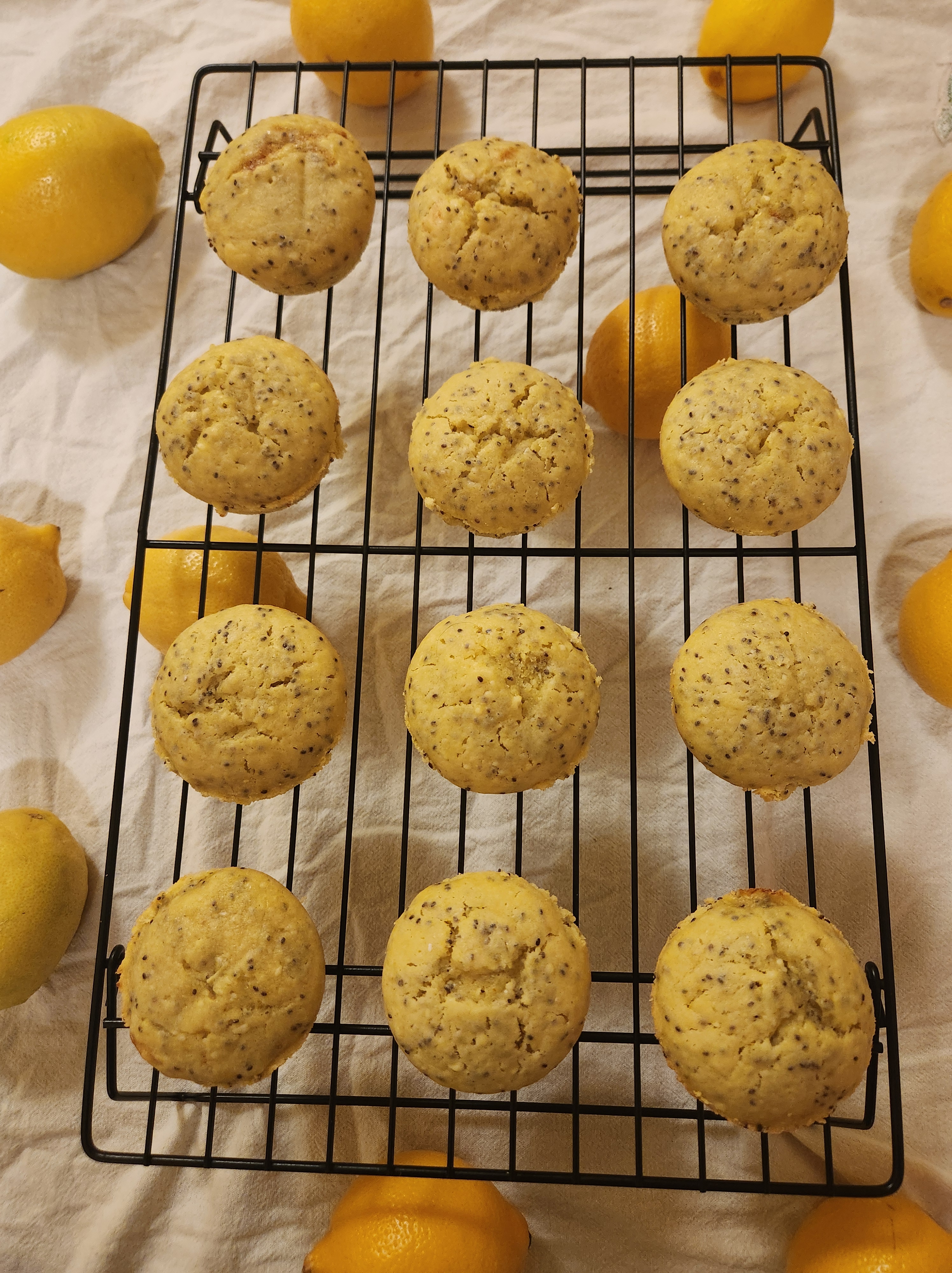 Lemon Chia Seed Muffins with Cottage Cheese